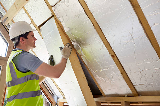 Best Insulation Maintenance and Repair in Lambert, MS